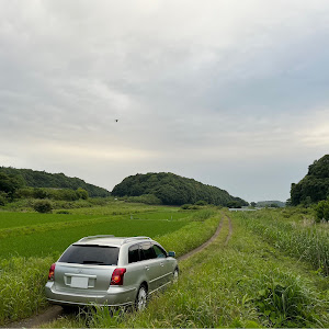 アベンシスワゴン AZT250W