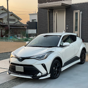 C-HR ZYX11