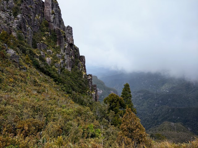 Pinnacles Walk Summit Coromandel