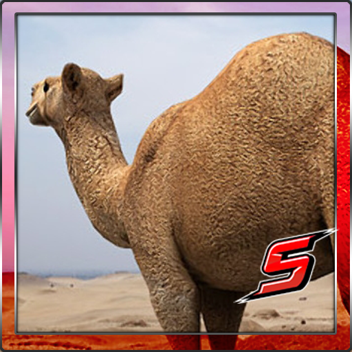 3D SACRED CAMEL Simulator icon