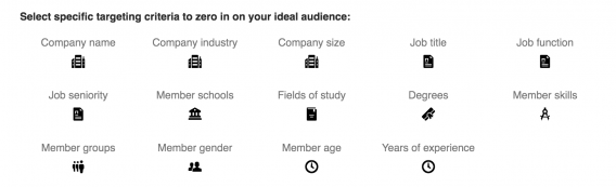 With Linkedin, you have 14 targeting options that are ripe with B2B opportunity