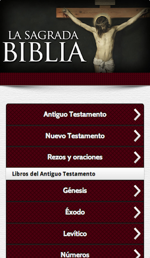 Holy Bible in Spanish