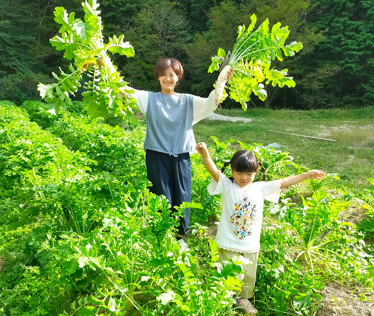 の投稿画像17枚目