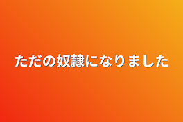 ただの奴隷になりました