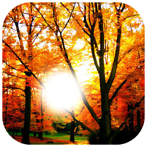 Autumn Photo Frame.apk 1.0