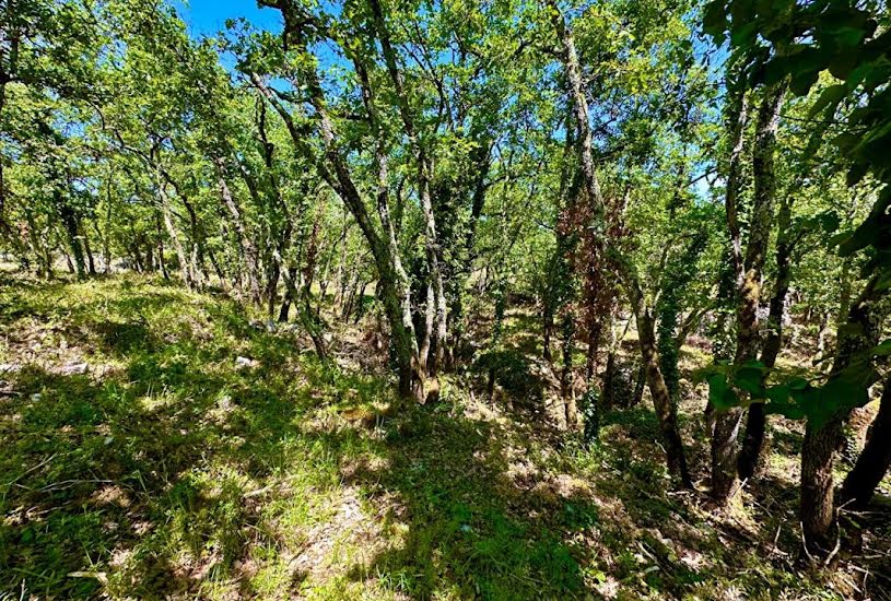  Vente Terrain à bâtir - à Ruoms (07120) 