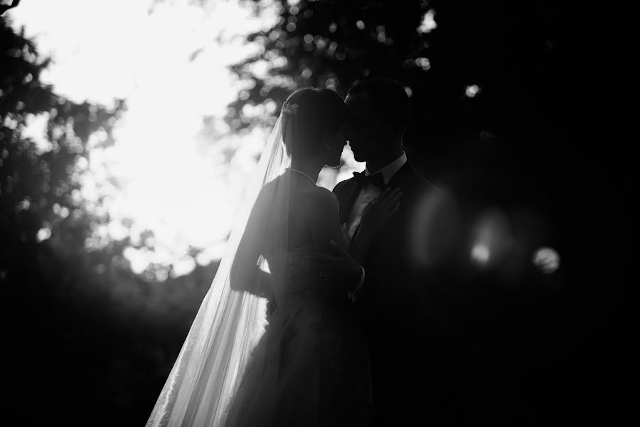 Wedding photographer Dijana Čebulc (dtstudio). Photo of 7 January 2017