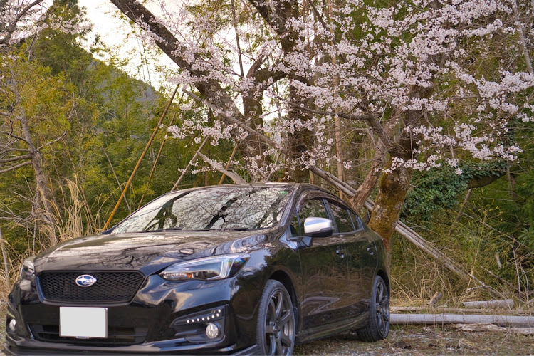 インプレッサ G4の桜・ドライブ・桜と愛車に関するカスタム事例の投稿画像9枚目