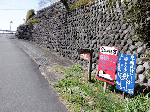 ハイキングコースを進む