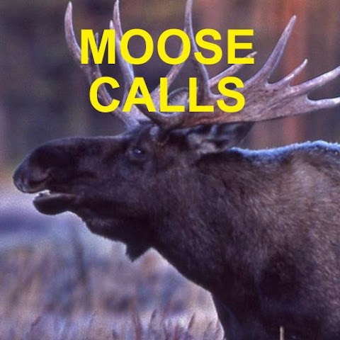 Moose Callsのおすすめ画像1