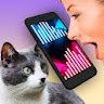 Cat Translator Pet Talk Meow icon