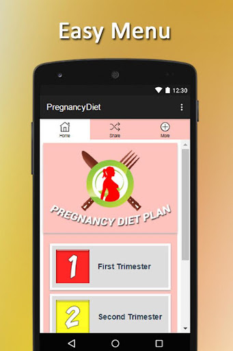 Healthy Pregnancy Diet Plan