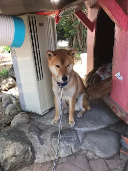 本当は、好きだったよ2話