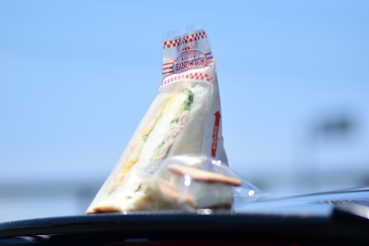 フィットのMEET THE FIT・浜名湖ガーデンパーク・ご近所レーシング・日焼けでヒリヒリ・最高のミーティングに関するカスタム事例の投稿画像10枚目