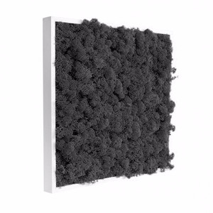 Tableau végétal stabilisé Lichen noir