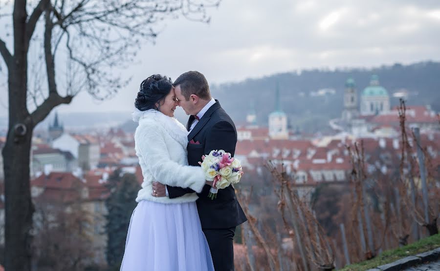 Fotógrafo de casamento Elena Vazhenina (weddingprague). Foto de 22 de janeiro 2019