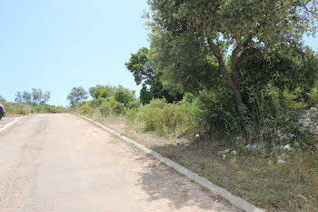 terrain à Bonifacio (2A)