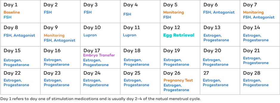 Egg Retrieval Timelines