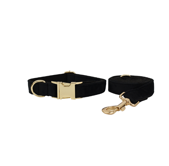 Collier en velours pour animaux de compagnie avec laisse de traction, doux et résistant, pour des promenades sûres et confortables avec votre chien ou chat.
