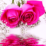 Pink Rose Butterfly 1.1.2 Icon