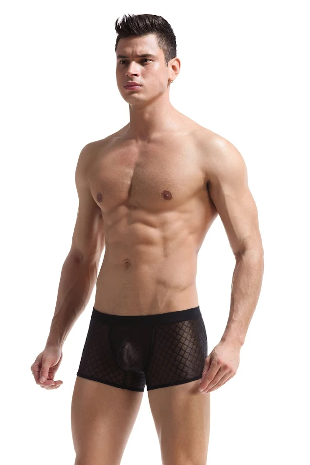 Heren boxer briefs van nylon ijszijde met kant, netgaren en U-convexe 3D-design, ademend en comfortabel.