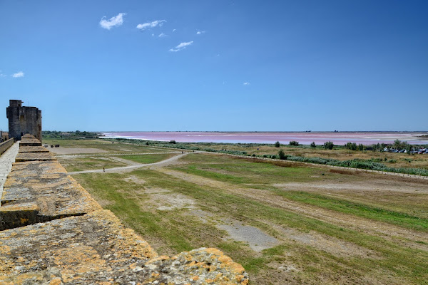 Ecosistemi fragili di GVatterioni