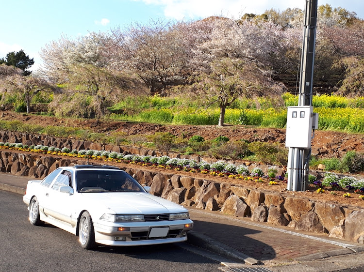 ソアラの桜・四本堂公園に関するカスタム事例の投稿画像10枚目
