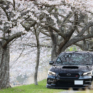 WRX STI