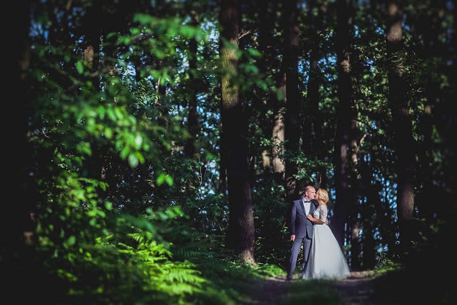 Fotógrafo de casamento Diana Cherecheș (dianachereches). Foto de 12 de abril 2016