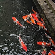 松葉園餐廳