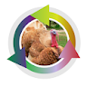Breeding turkeys icon
