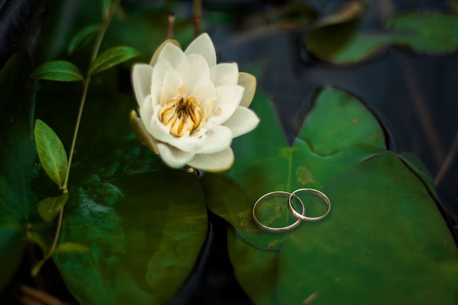 Fotógrafo de bodas Irina Filin (irinafilin). Foto del 22 de agosto 2017