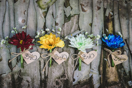 Photographe de mariage Irina Dolotova (dolotova). Photo du 12 août 2016