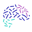 Brainstorm AI Extension