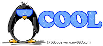 Image result for cool penguin