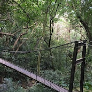 【大板根森林渡假村】椰林西餐廳