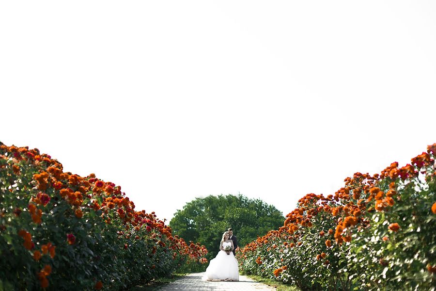 Fotógrafo de casamento Olga Popova (popovaolga). Foto de 19 de agosto 2019