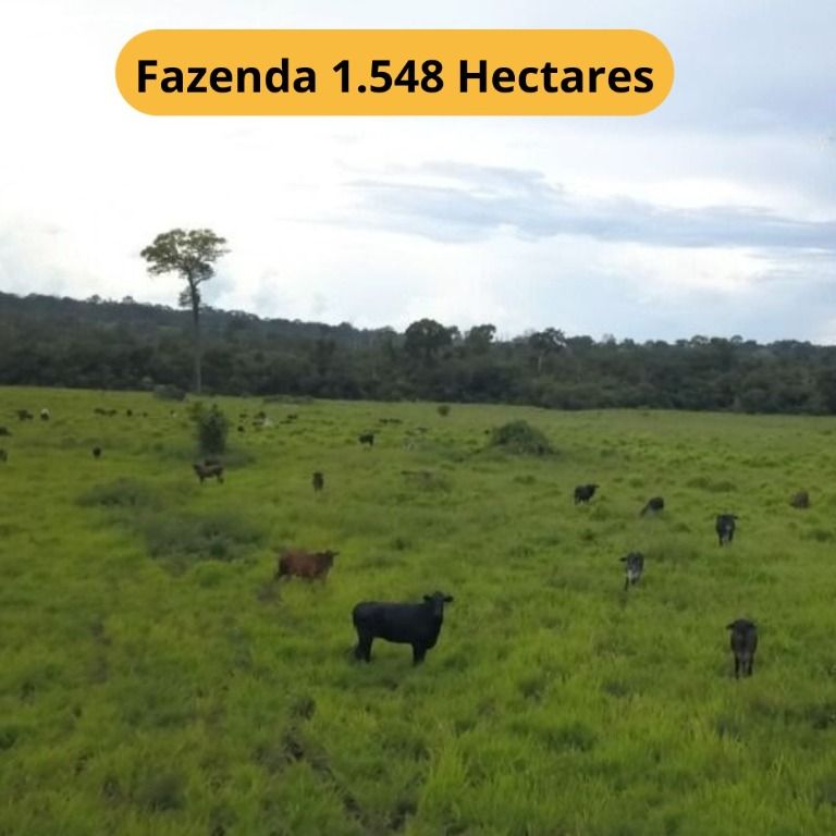 Fazendas à venda Zona Rural