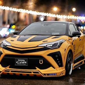 C-HR NGX10