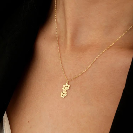 Title 12, Fashion Simple Pet Footprint Necklace. A beauti...