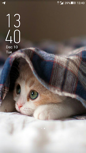 Animal Wallpaper Offline  Cute Animal