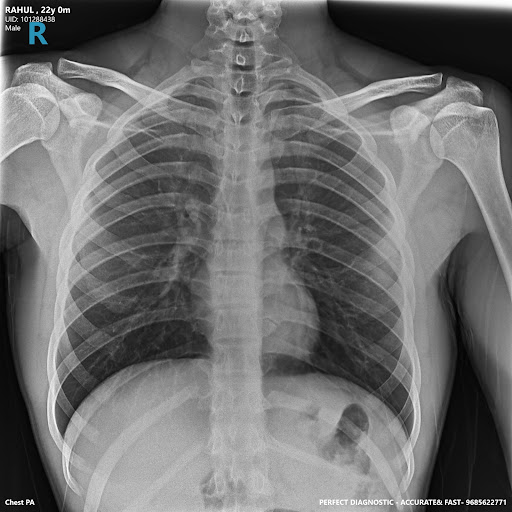 Indore Home X-Ray — business photo 2