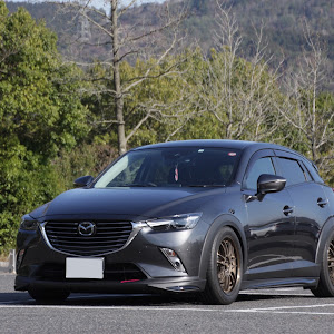 CX-3 DK5FW