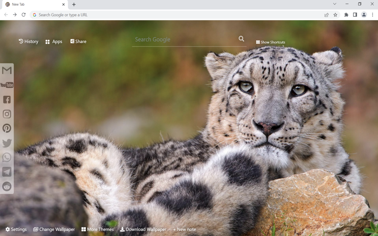 Snow Leopard Wallpaper New Tab Preview image 1