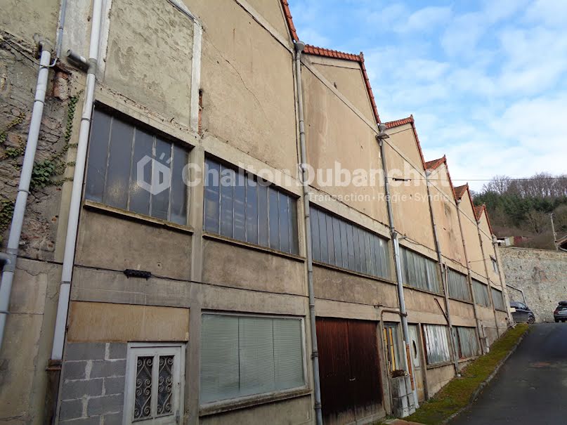 Vente locaux professionnels 2 pièces 300 m² à Regny (42630), 85 000 €