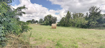 terrain à Notre-Dame-de-Riez (85)