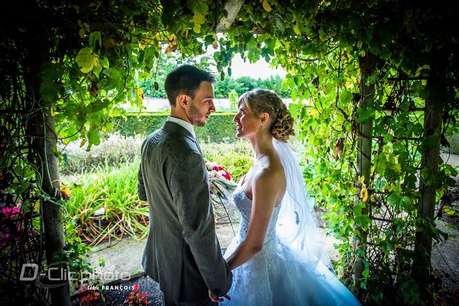 Huwelijksfotograaf Cédric François (d-clicphoto). Foto van 30 juli 2019