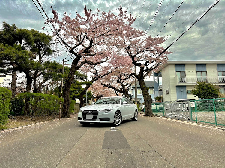 A6 セダンのA6セダン・S-Lineホイール・#愛車と桜・桜・桜が満開🌸に関するカスタム事例の投稿画像2枚目