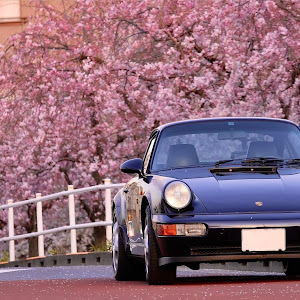 911 クーペ