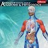 Anatomy and Physiology-Animated1.9